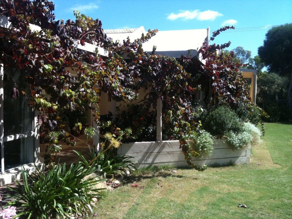 Bellevue Bed & Breakfast Mclaren Vale Eksteriør bilde